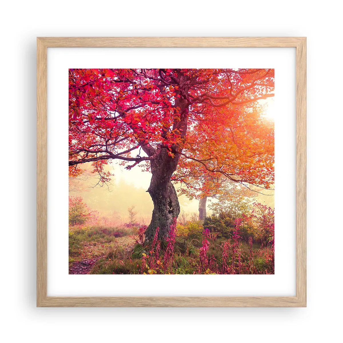 Poster in light oak frame - In Full Bloom - 40x40 cm