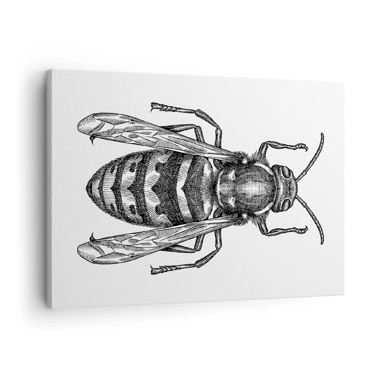 Canvas picture - A cartoon wasp motif on a white background in a minimalist style. - 70x50cm - From Insect Planet - Modern wall decoration for the living room and bedroom ARTTOR
