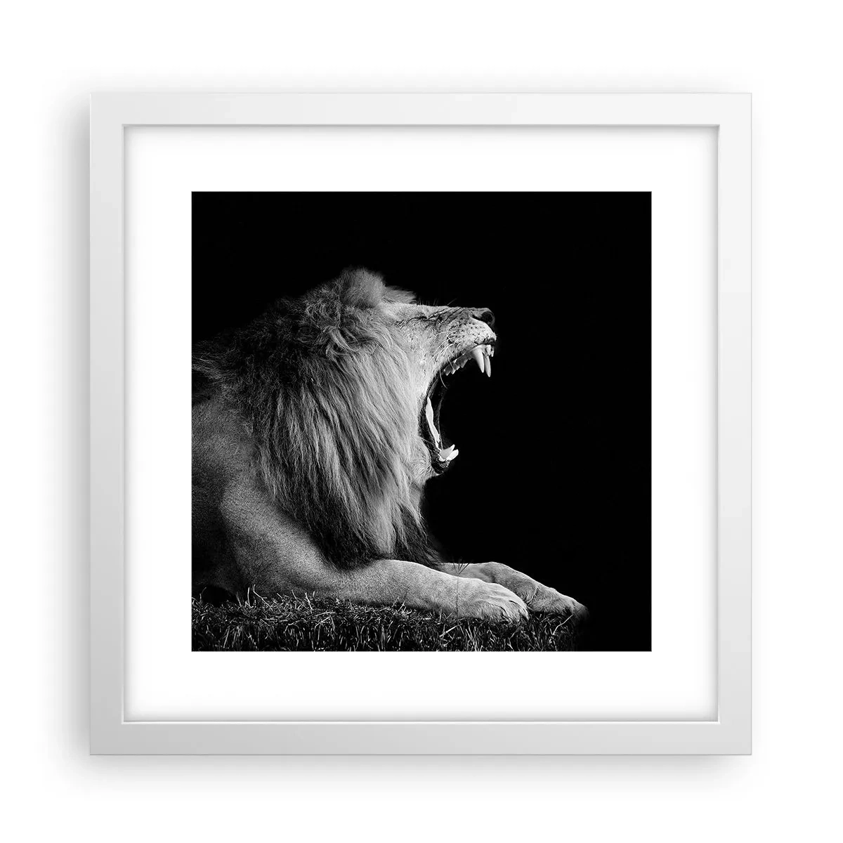 Poster in white frmae - Without Any Doubt - 30x30 cm