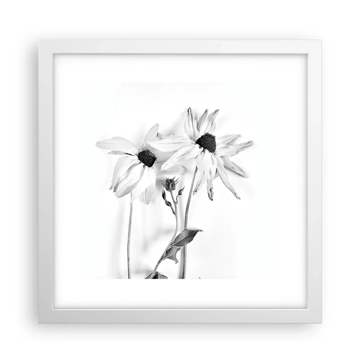 Poster in white frmae - No one Wants To Be Alone - 30x30 cm