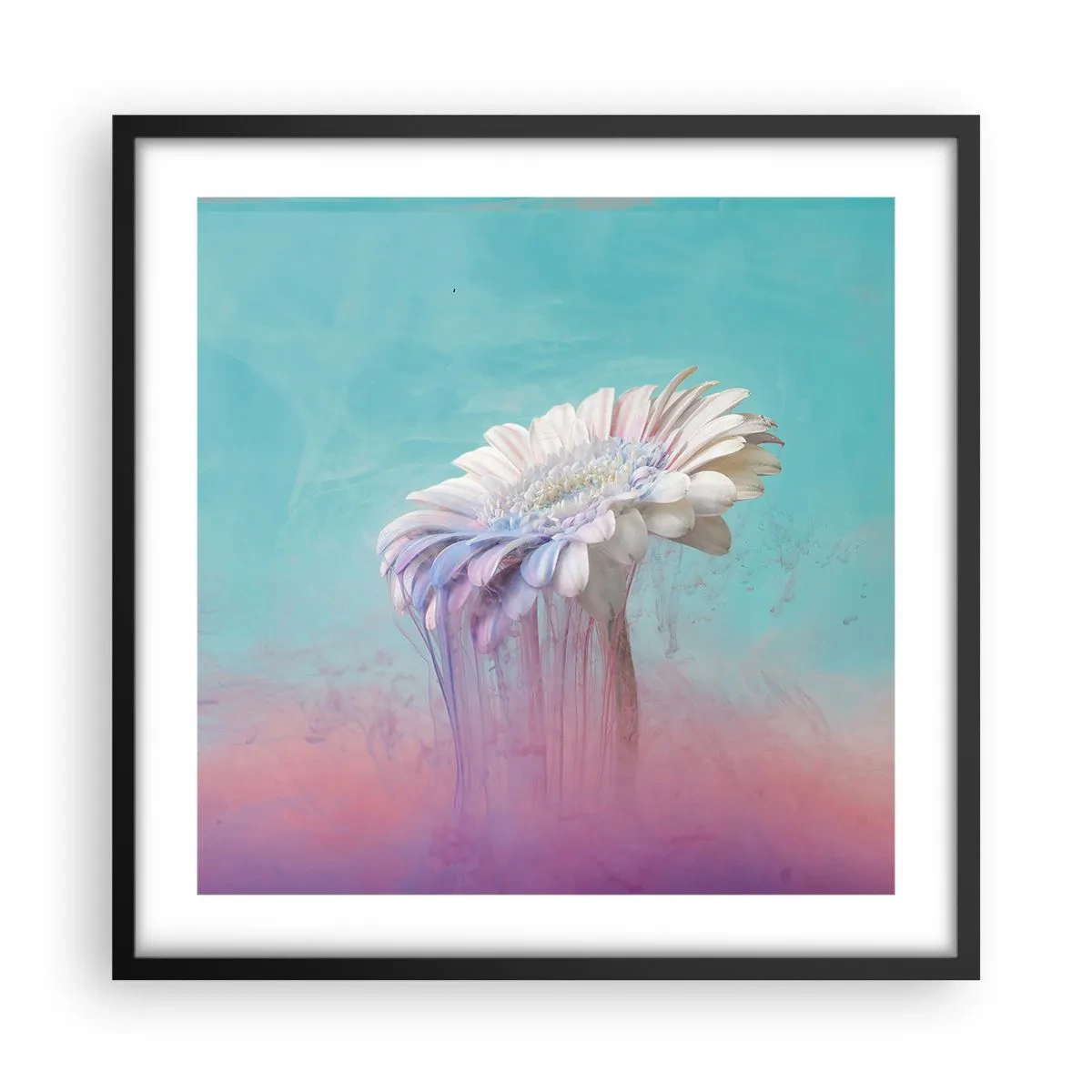 Poster in black frame - Afterlife of Flowers - 50x50 cm