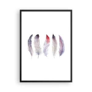 Poster in black frame - Colorful feathers on a white background in a delicate style - 50x70cm - Delicate Like Pink Fog - Modern wall decoration for the living room and bedroom ARTTOR