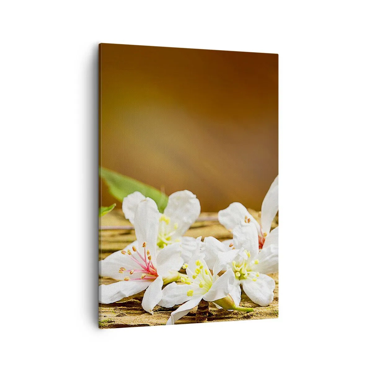 Canvas picture - Innocent Promise - 50x70 cm
