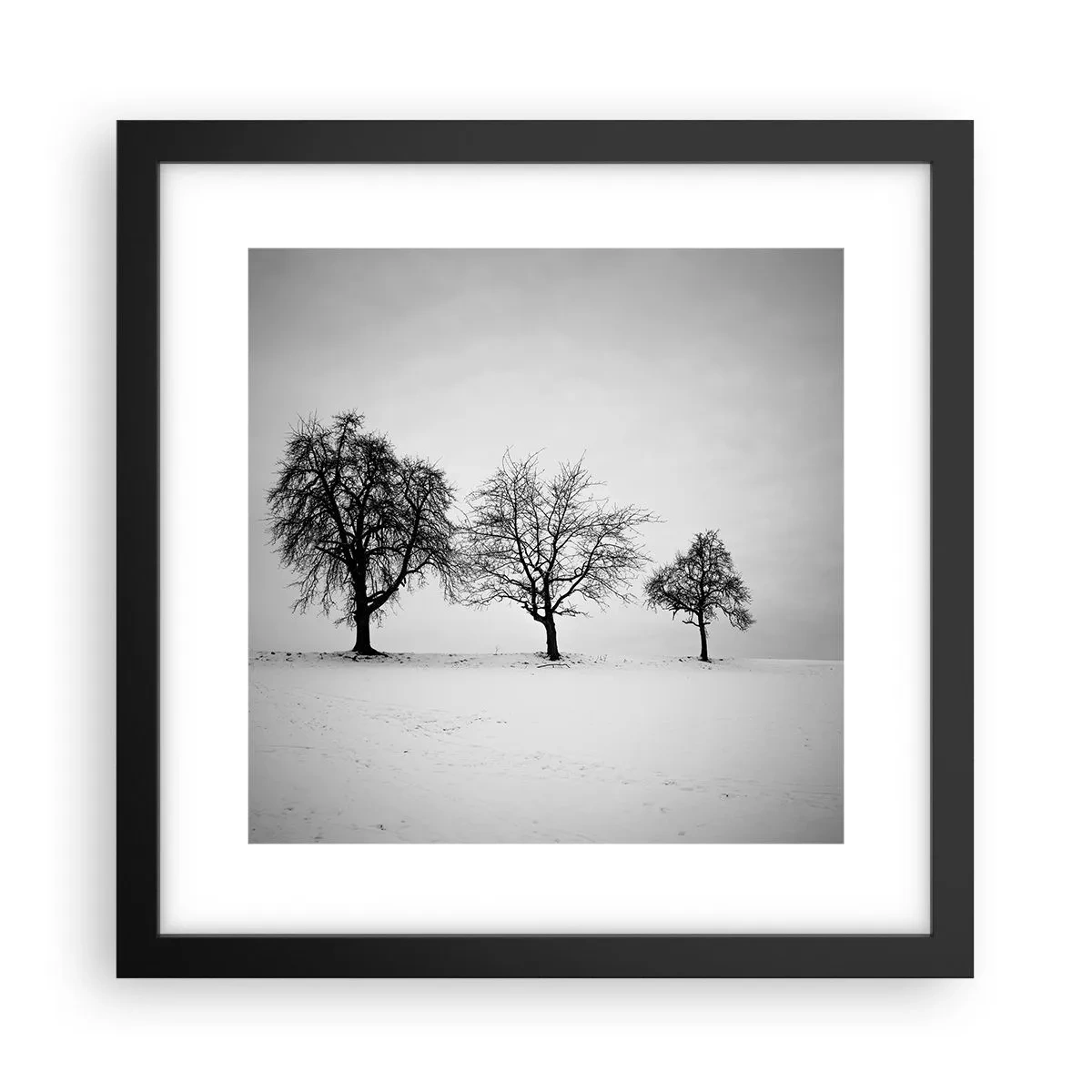 Poster in black frame - What Are They Dreaming About? - 30x30 cm
