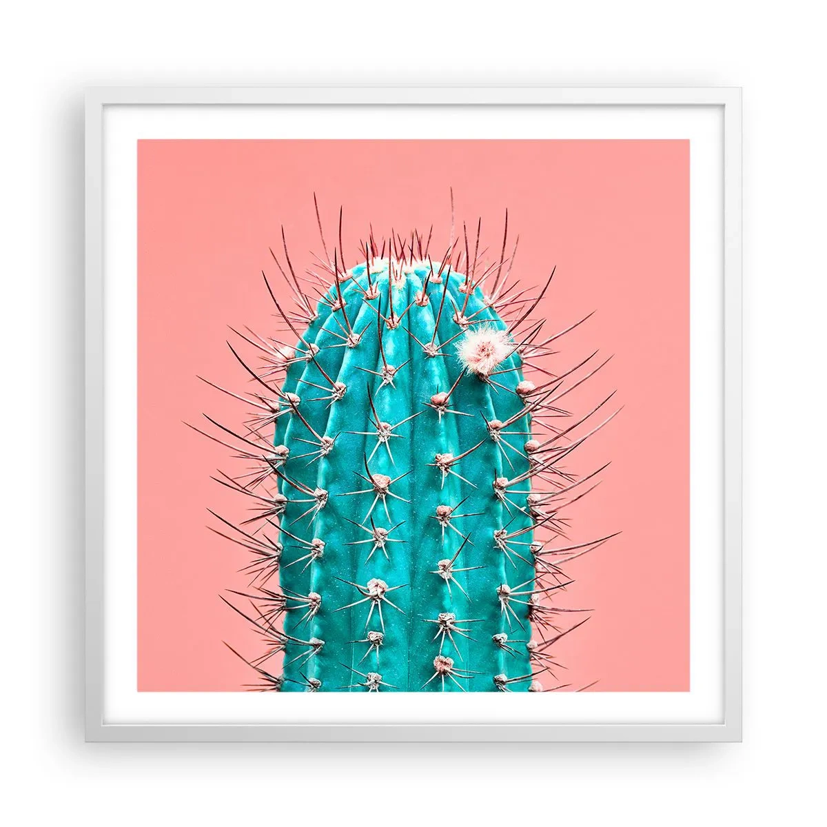 Poster in white frmae - Just Look - 60x60 cm