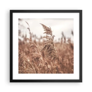 Poster in black frame - Autumn Has Arrived in the Fields - 40x40 cm