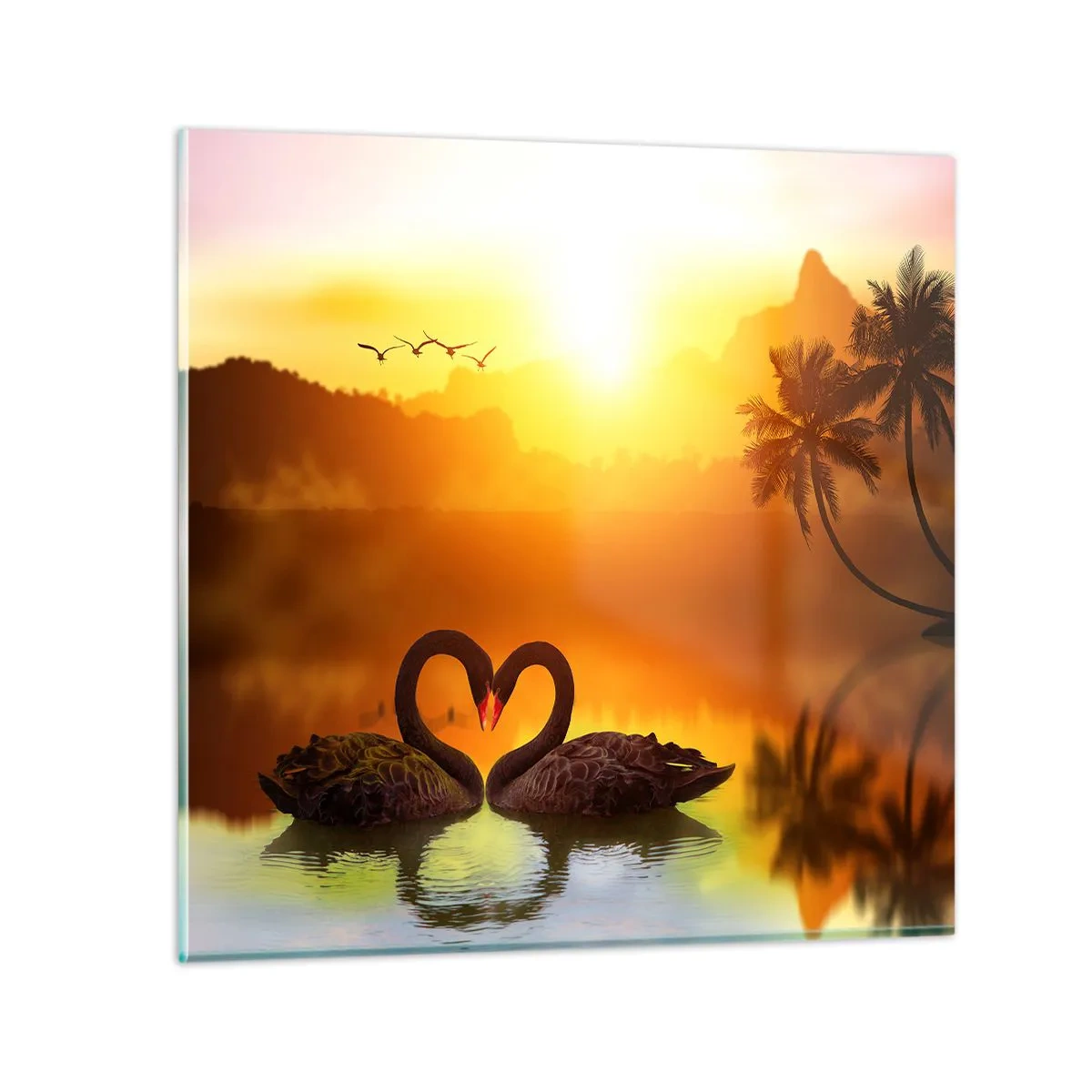 Glass picture - Paired up - 60x60 cm