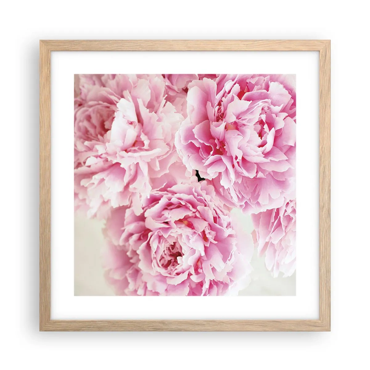 Poster in light oak frame - In Pink Splendour - 40x40 cm