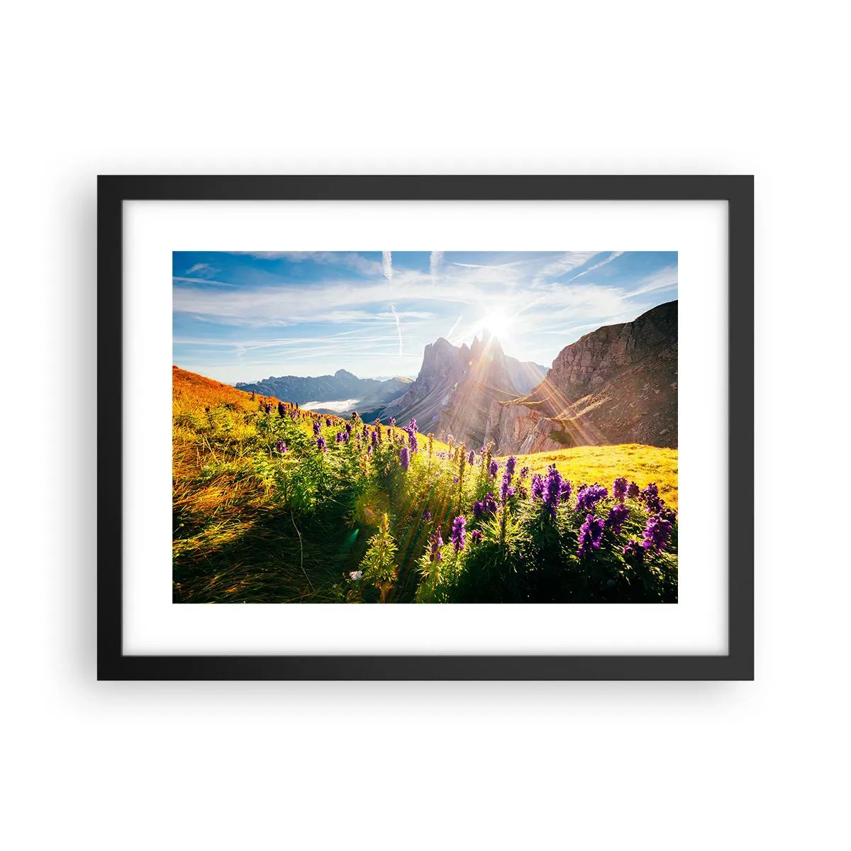 Poster in black frame - Secret Life of Herbs - 40x30 cm