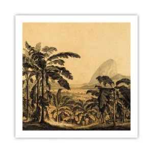 Poster - In Colonial Character - 60x60 cm