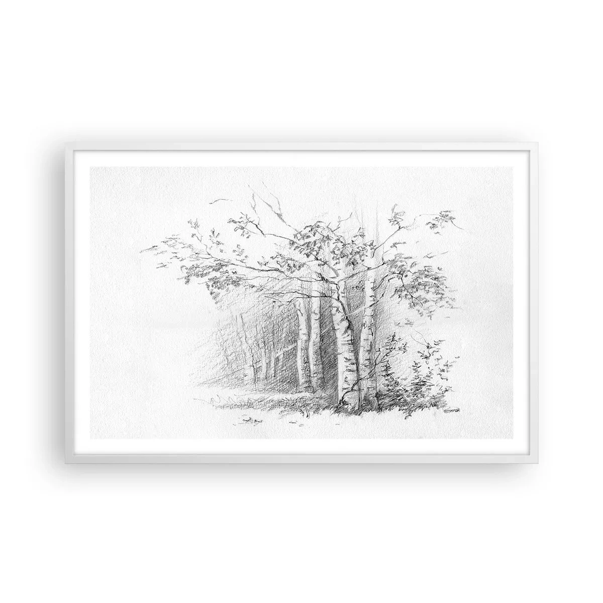 Poster in white frmae - Holiday of Birch Forest - 91x61 cm