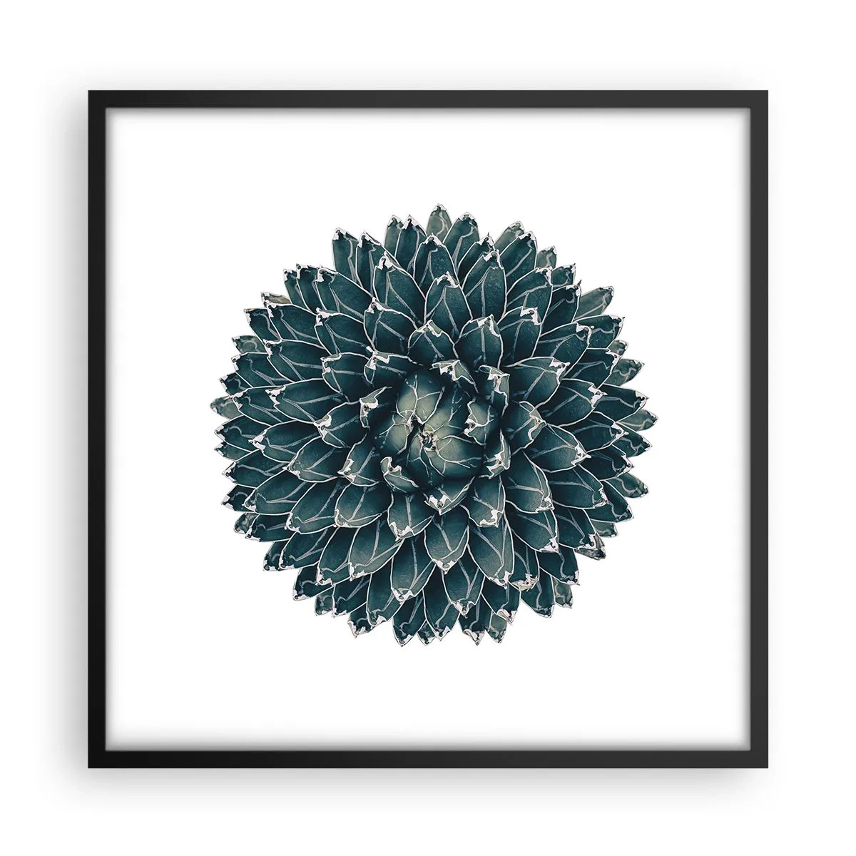 Poster in black frame - Star of the Desert - 50x50 cm