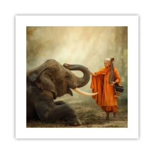 Poster - Unexpected Meeting - 40x40 cm