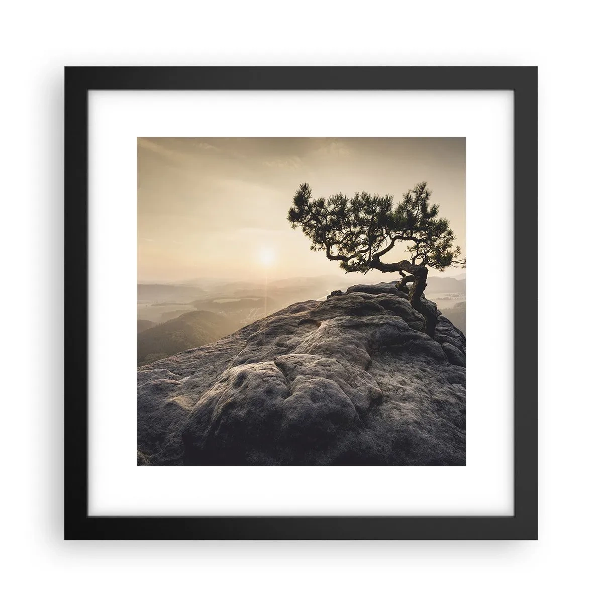 Poster in black frame - Life Always Wins - 30x30 cm