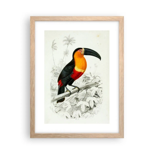 Poster in light oak frame - Bird Colours - 30x40 cm