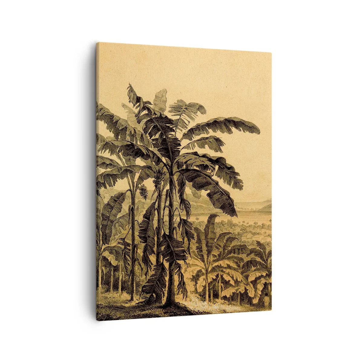 Canvas picture - In Colonial Character - 50x70 cm