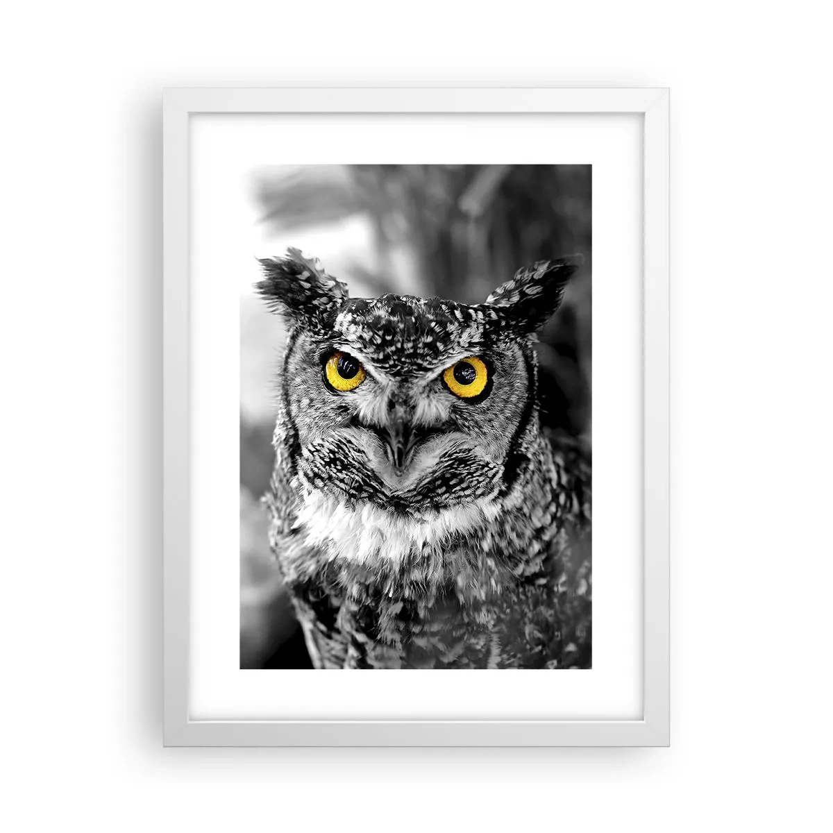 Poster in white frmae - Nothing Can Hide - 30x40 cm