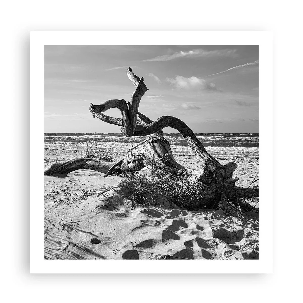 Poster - Seaside Sculpture - 60x60 cm