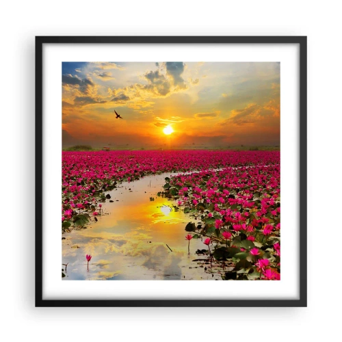 Poster in black frame - Secret Life of a Lake - 50x50 cm
