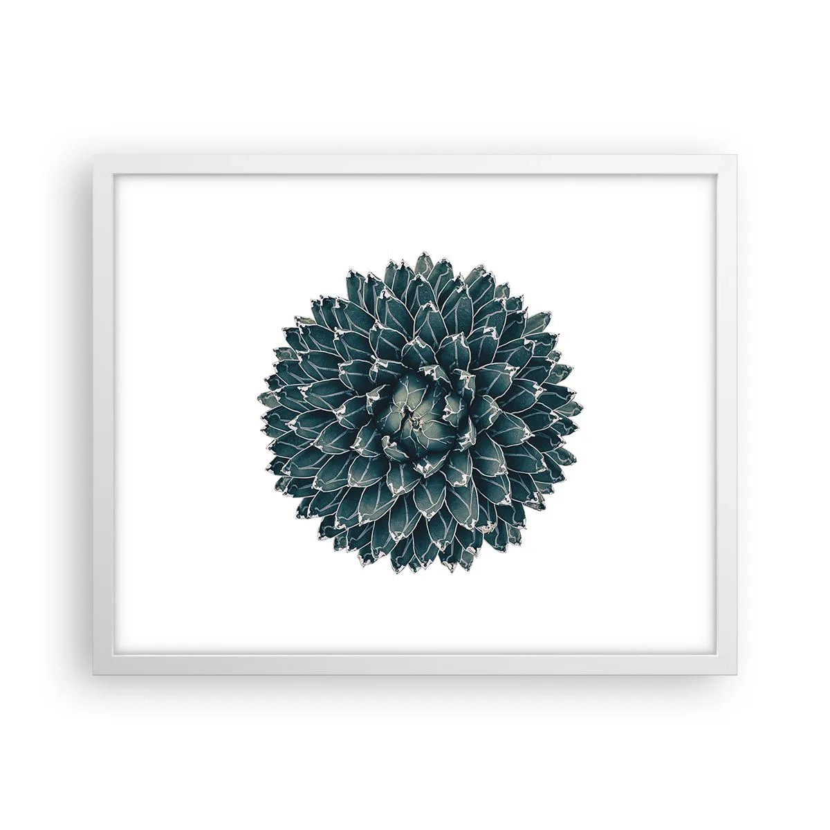 Poster in white frmae - Star of the Desert - 50x40 cm