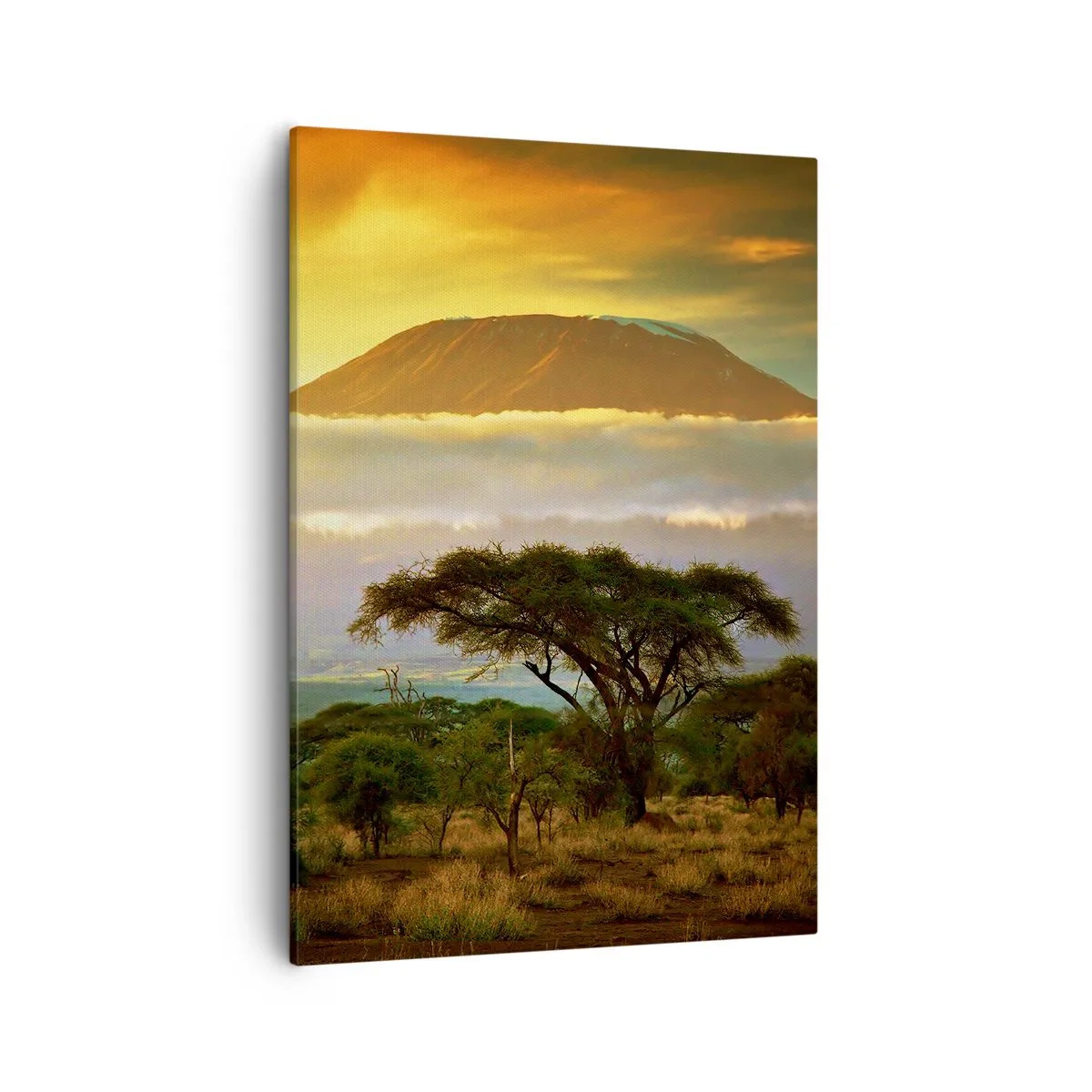 Canvas picture - Traveller's Dream - 50x70 cm