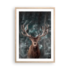 Poster in light oak frame - King of Forest Crowned - 50x70 cm