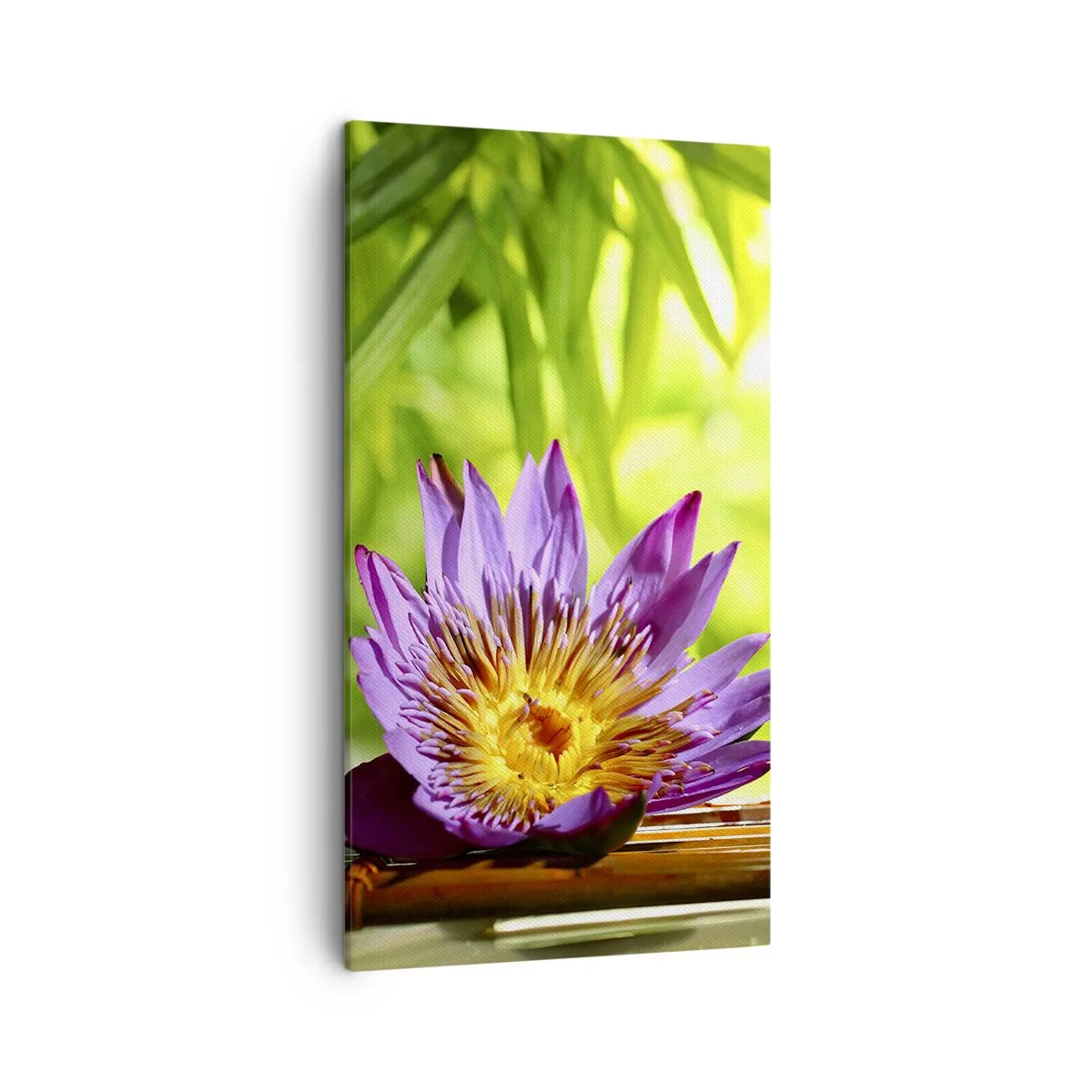 Canvas picture - In the Asian Sun - 45x80 cm