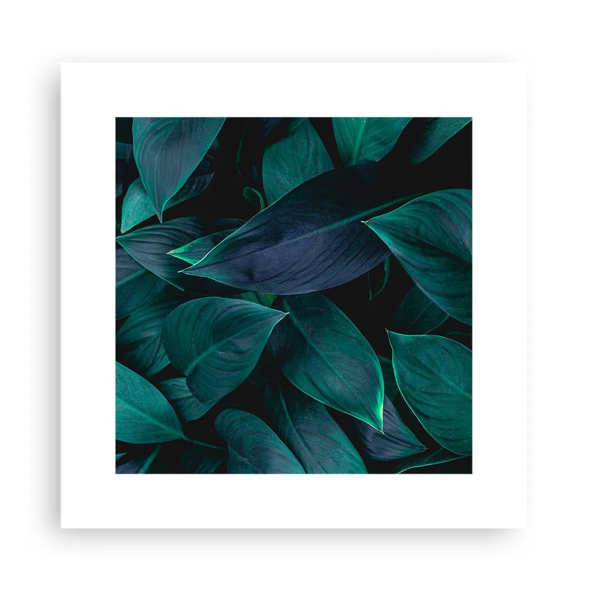 Poster - The Green Itself - 30x30 cm