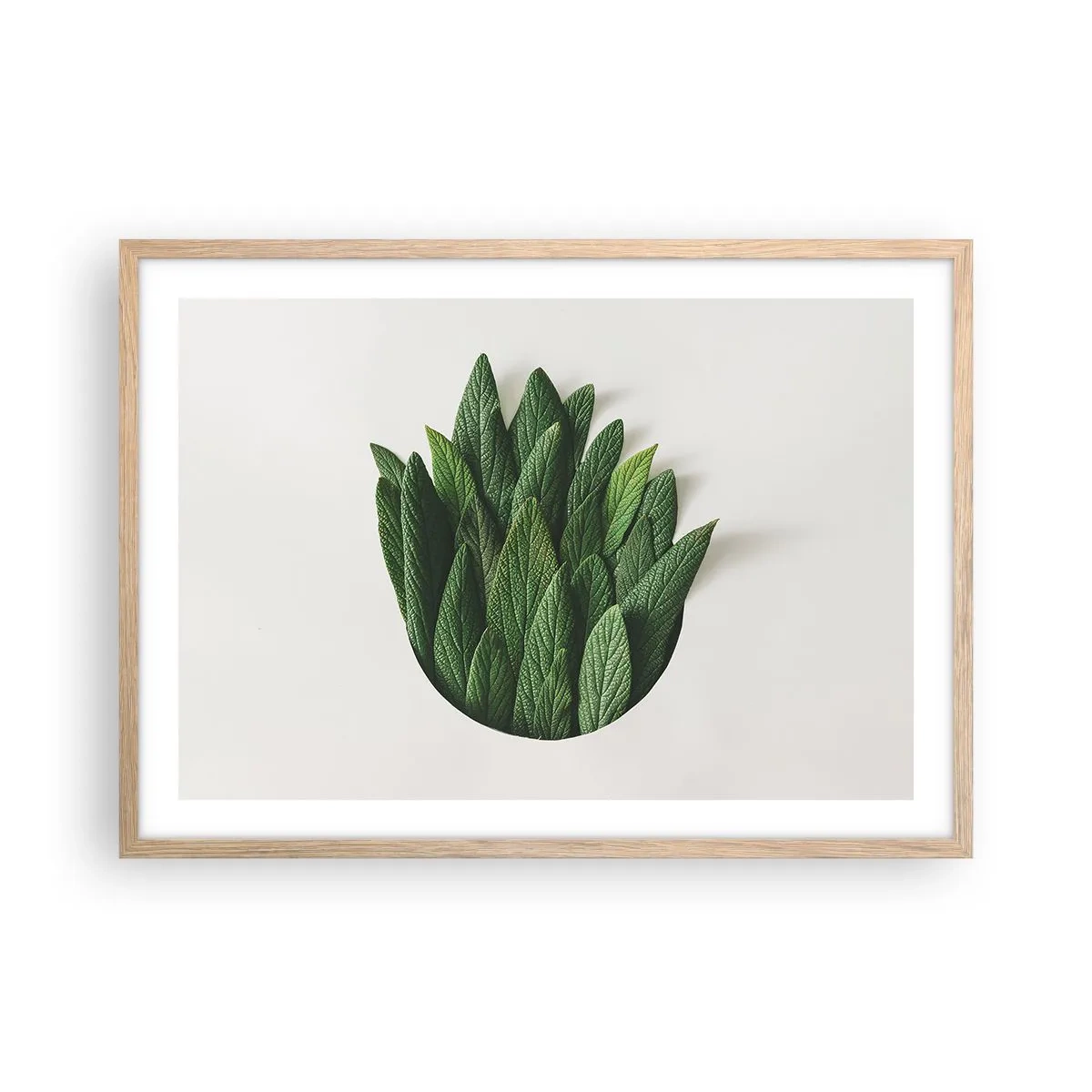 Poster in light oak frame - Untamed Curiosity - 70x50 cm