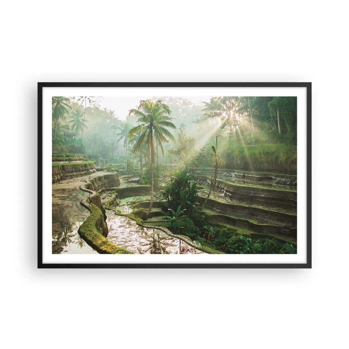 Poster in black frame - Maturing in the Sun - 91x61 cm