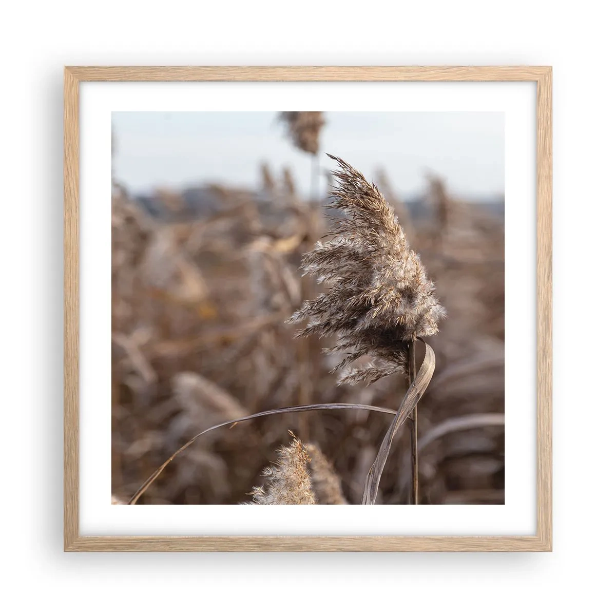 Poster in light oak frame - Time to Fly with the Wind - 50x50 cm
