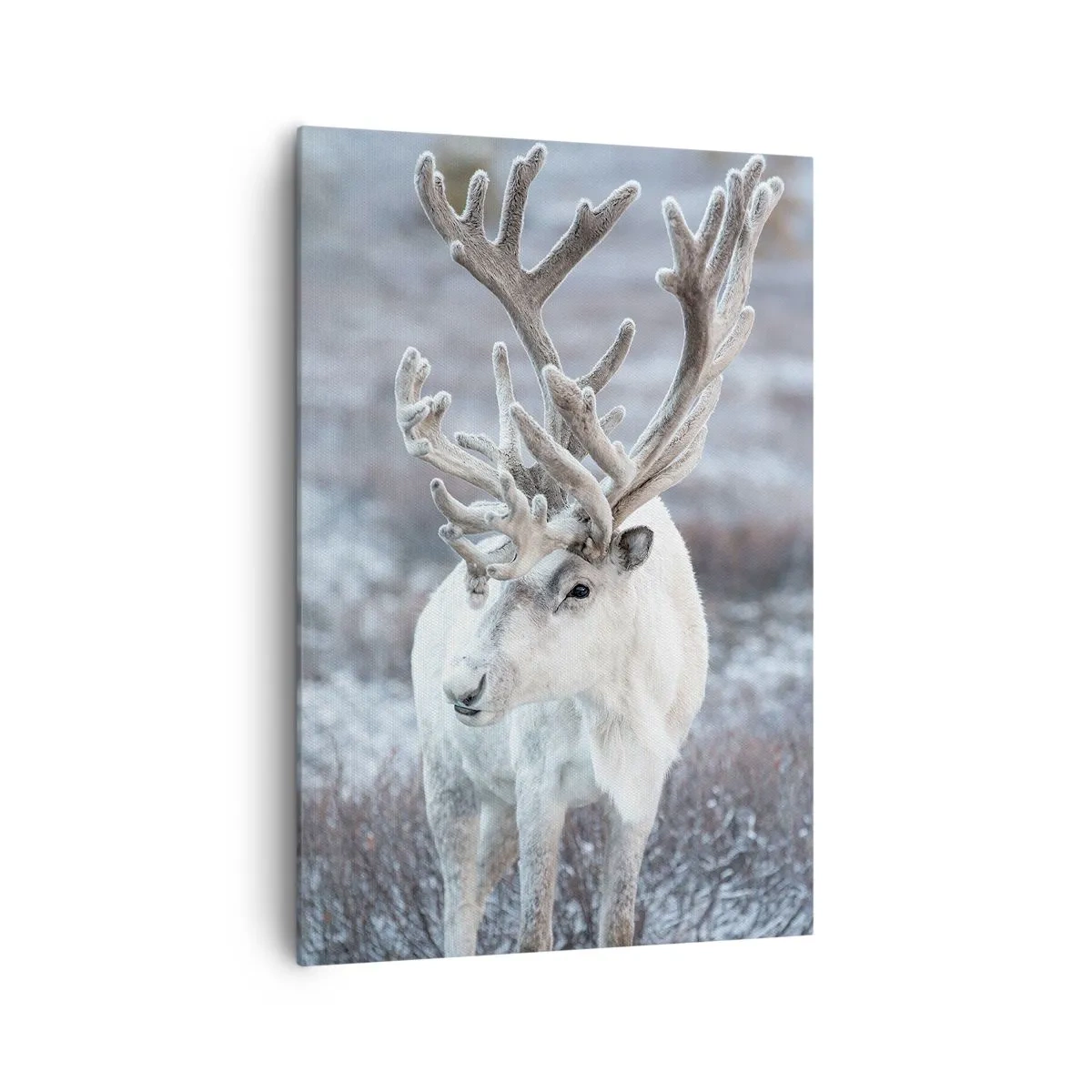 Canvas picture - Portrait in the Sun - 70x100 cm