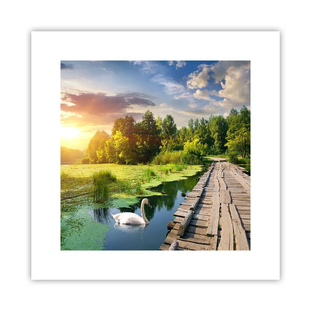 Poster - Summer Everywhere - 30x30 cm