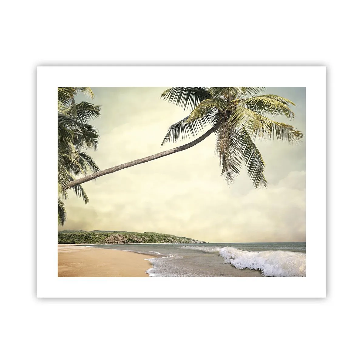 Poster - Tropical Dream - 50x40 cm