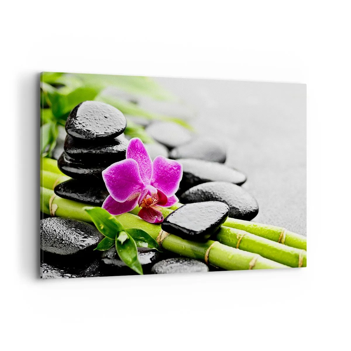 Canvas picture - In a Peaceful Balance - 120x80 cm