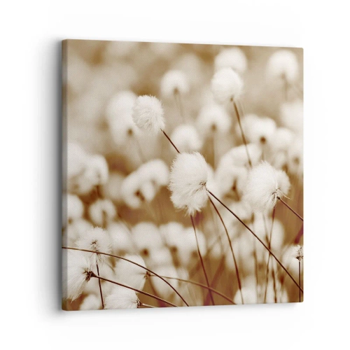 Canvas picture - Fluffy field - 30x30 cm