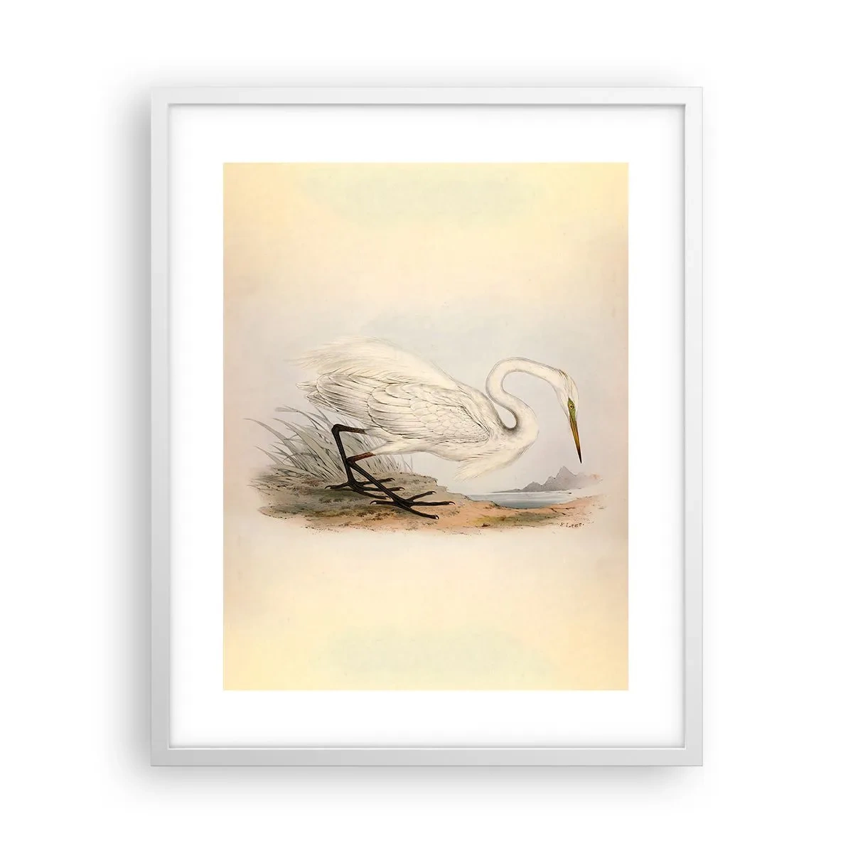 Poster in white frmae - Lady on the Marsh - 40x50 cm