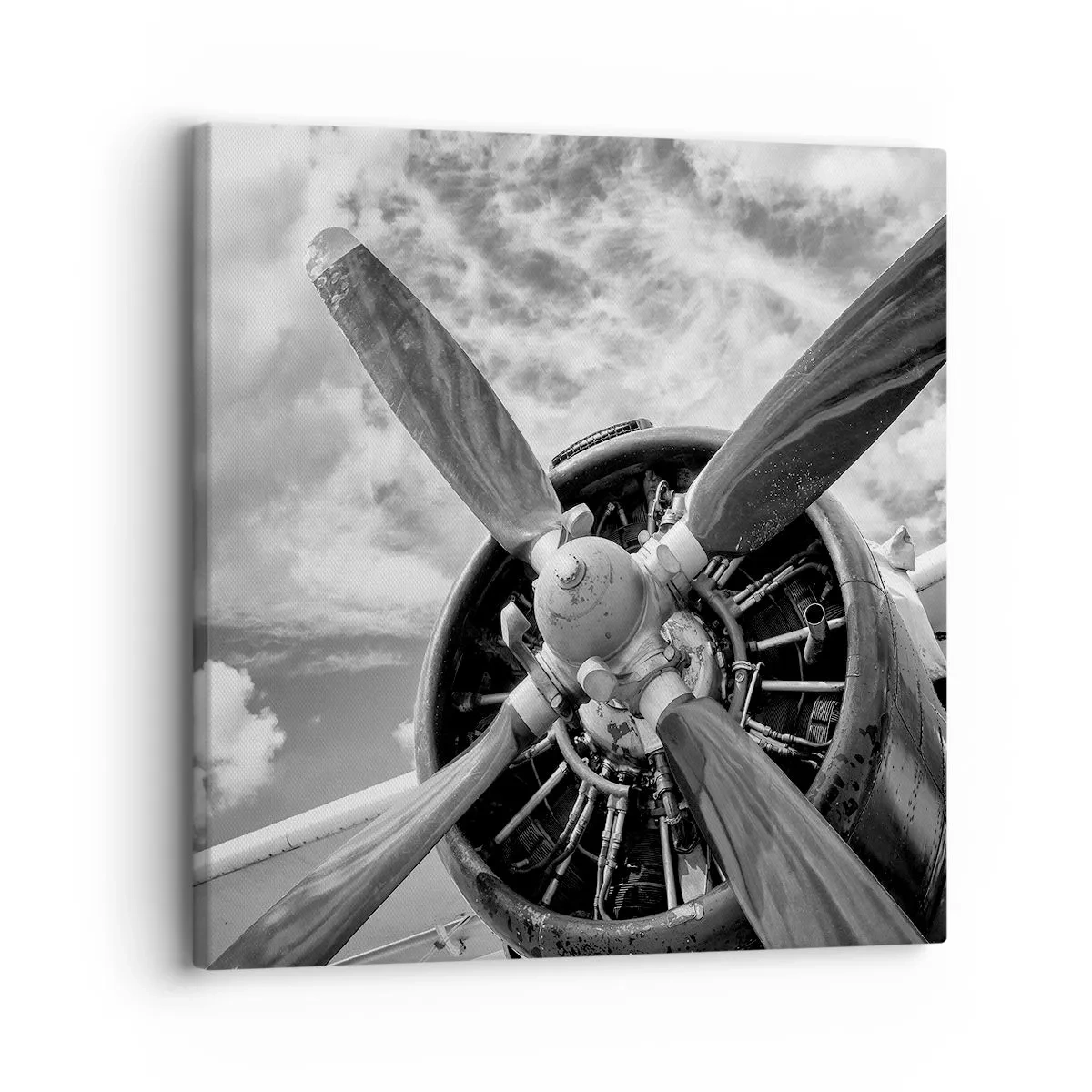 Canvas picture - Conquerer of the Skies - 30x30 cm