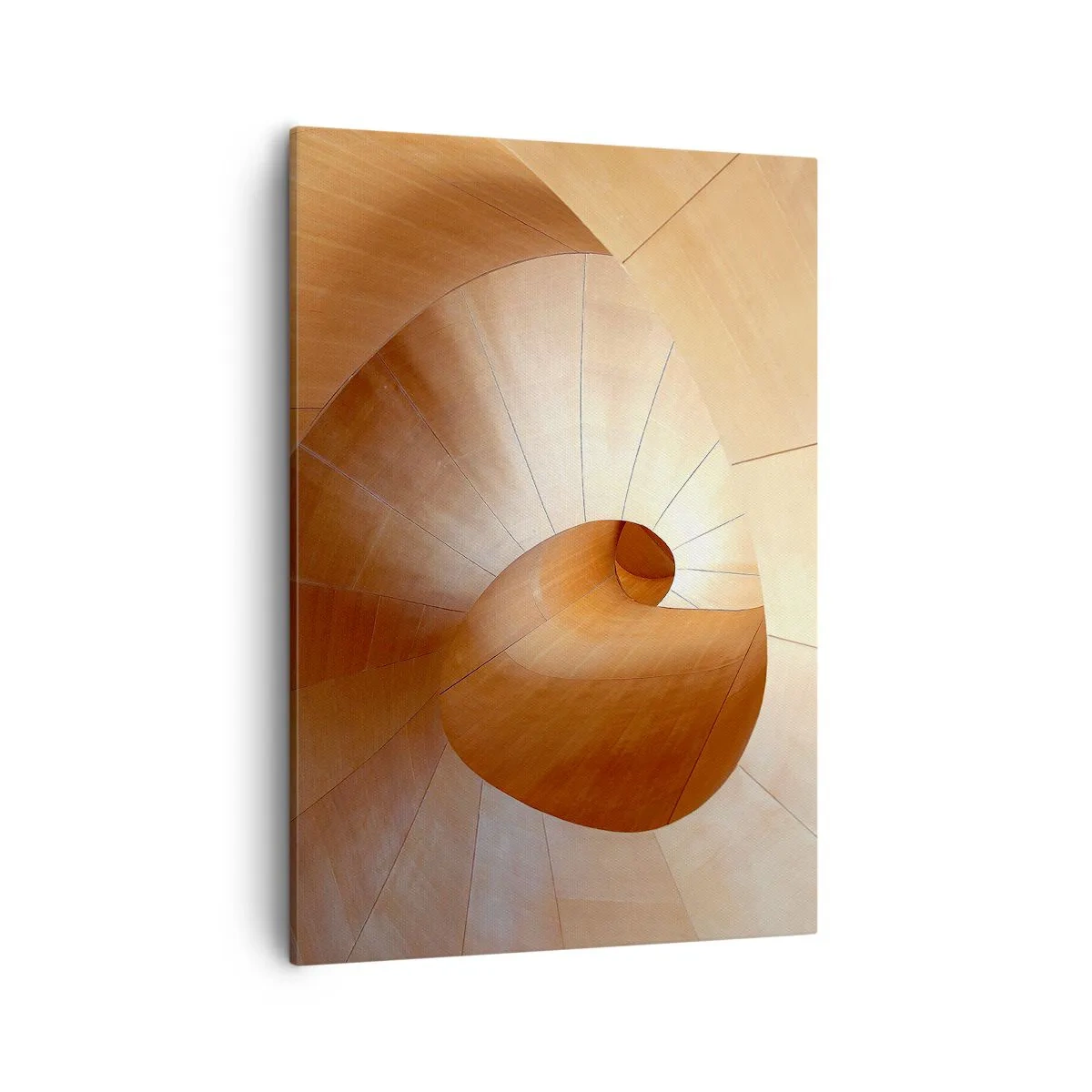 Canvas picture - Architectural Serpentine - 50x70 cm