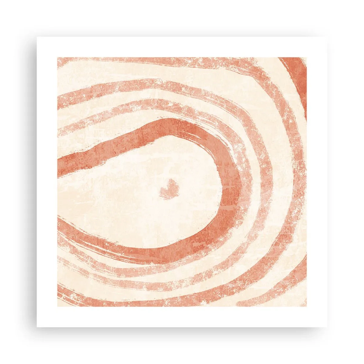 Poster - Coral Circles - Composition - 50x50 cm