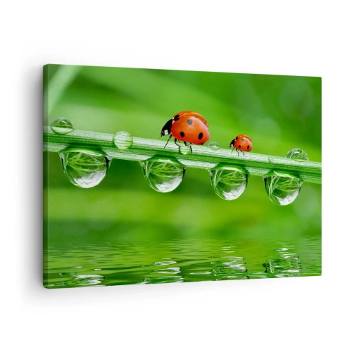 Canvas picture - Ladybugs on a blade of grass with dew drops in a natural setting - 70x50cm - Summer Is on Its Way - Modern wall decoration for the living room and bedroom ARTTOR