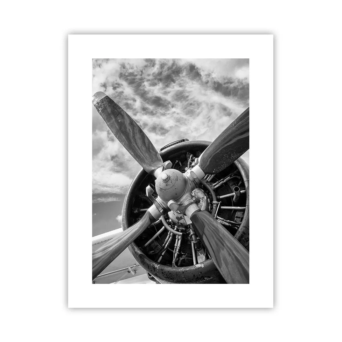 Poster - Conquerer of the Skies - 30x40 cm