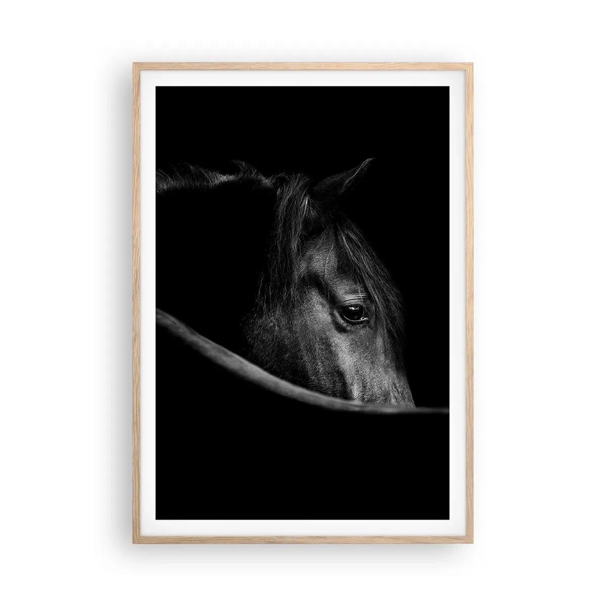 Poster in light oak frame - Black Prince - 70x100 cm