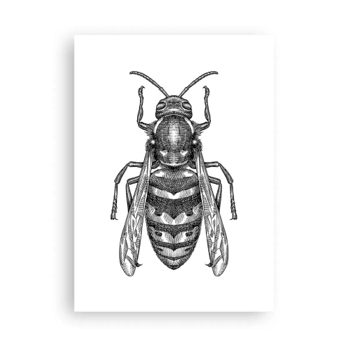 Poster - From Insect Planet - 50x70 cm