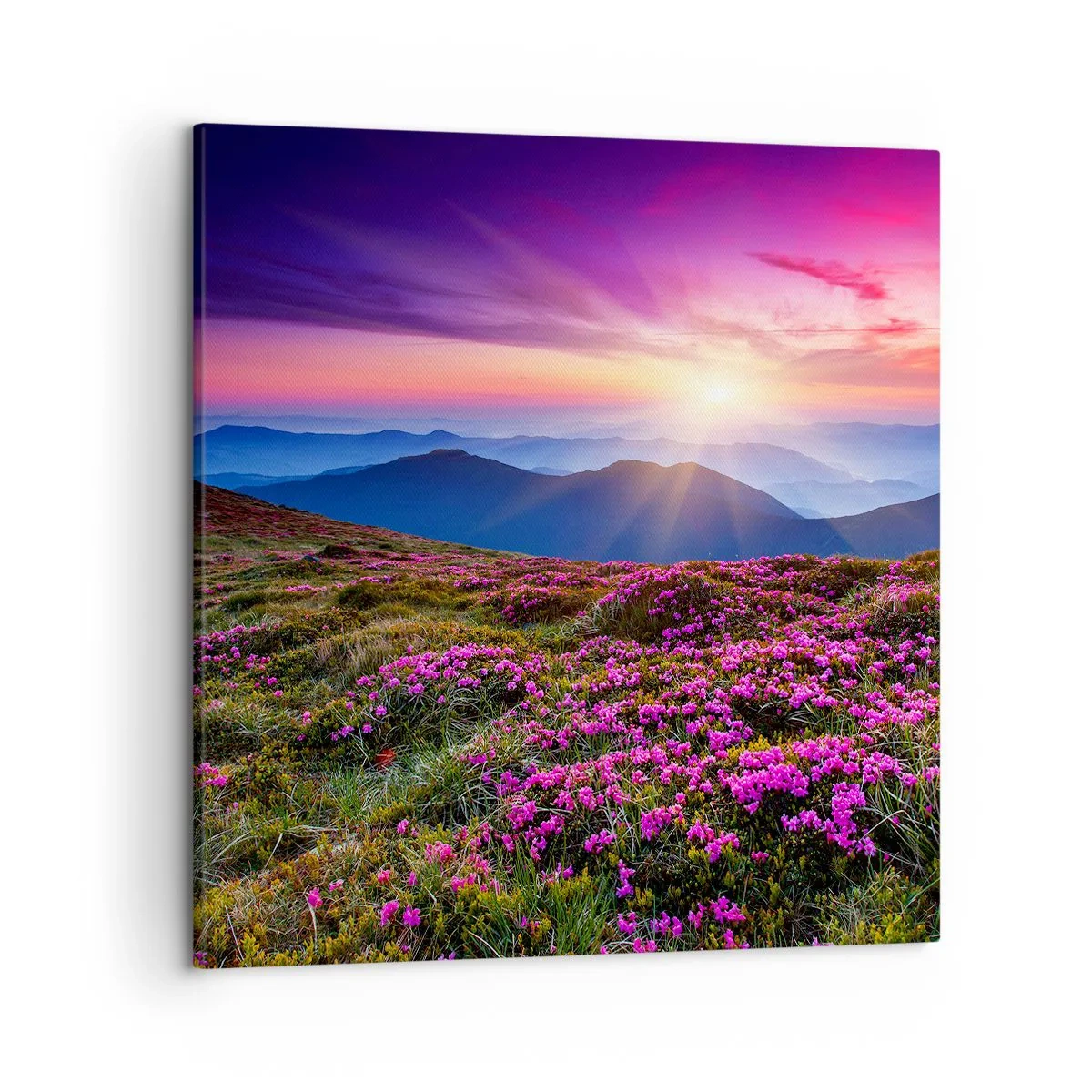 Canvas picture - Smells Strongly of Herbs - 50x50 cm