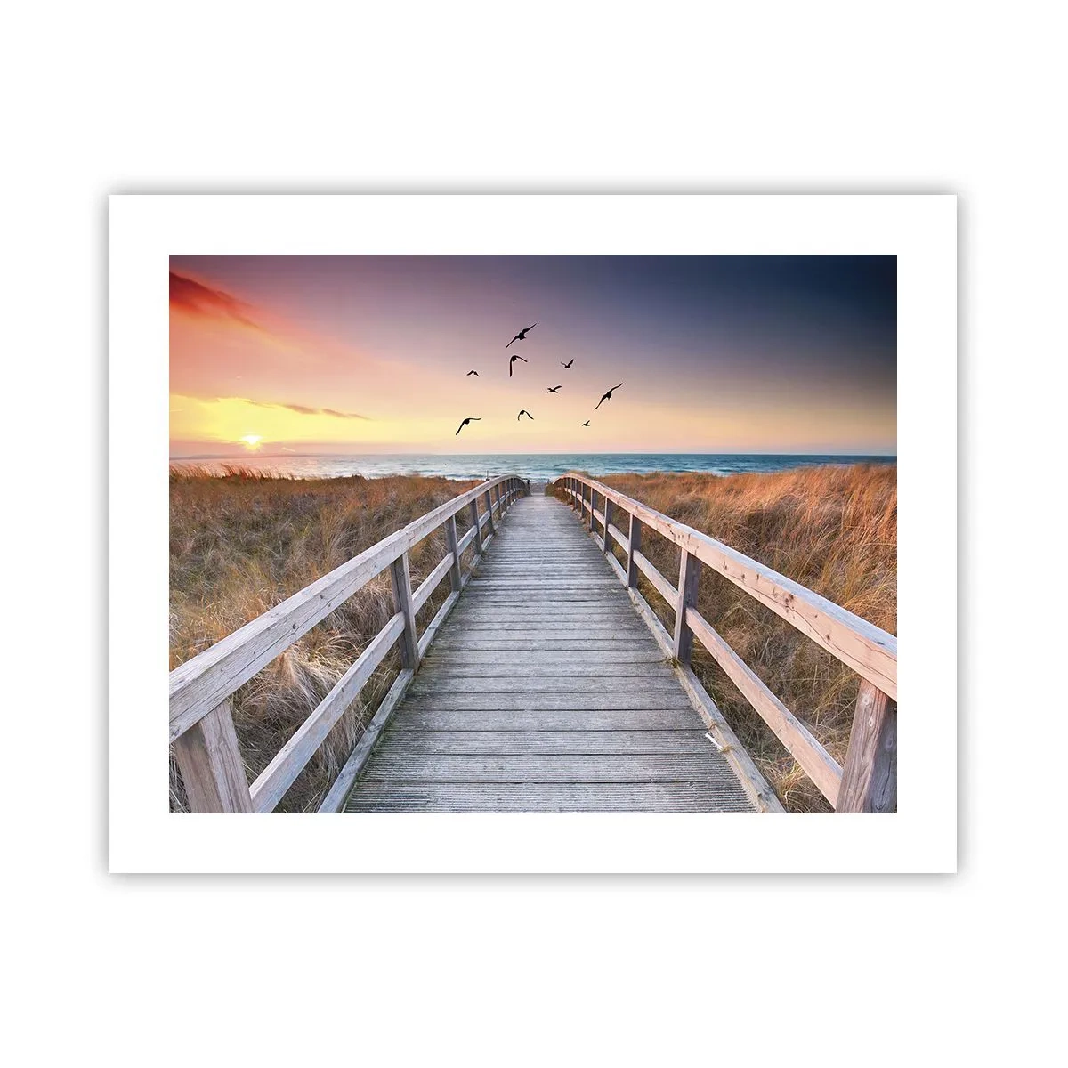 Poster - Space of Highs - 50x40 cm