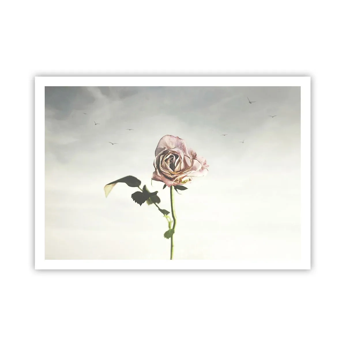 Poster - Welcoming of Spring - 100x70 cm