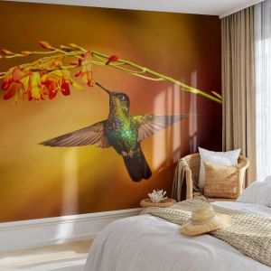 Photo Wallpaper Premium Canvas - Messenger of Light according to the Mayans - Humming-bird, Bird, Nature - 150x105 cm