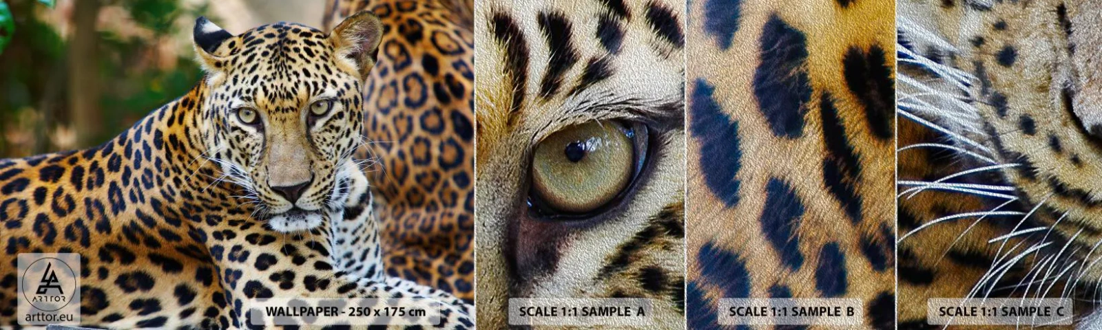 Photo Wallpaper Sample Premium Sand - Wild and Calm - Animals, leopard, Africa - 100x30 cm