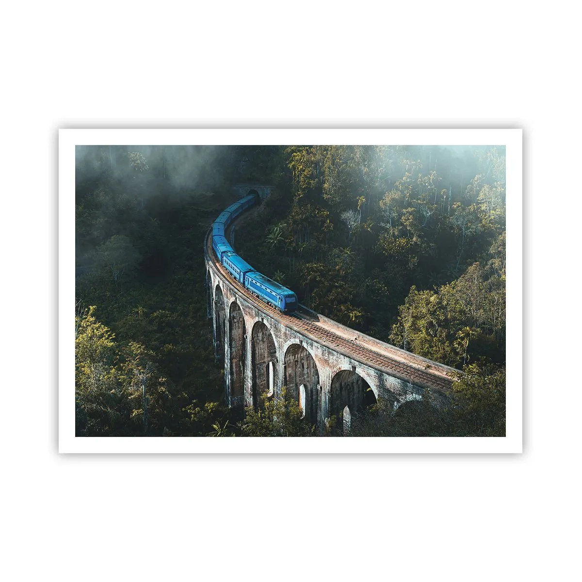 Poster - Train through Nature - 100x70 cm